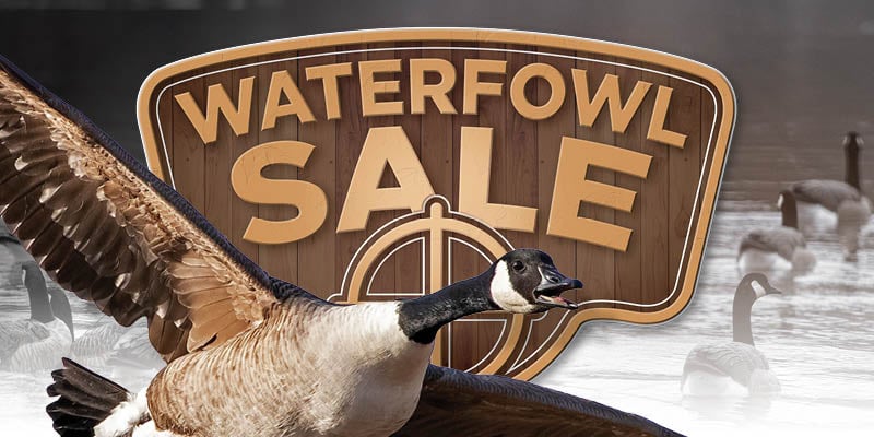 Special: Waterfowl Sale